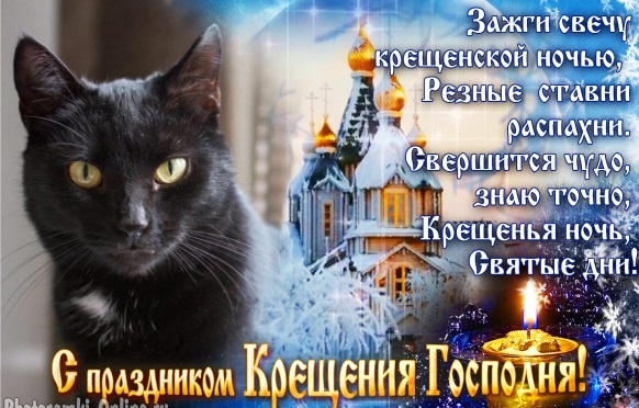 Чёрная красавица Жужа мечтает стать единственной кошечкой в доме✨🐈🏡