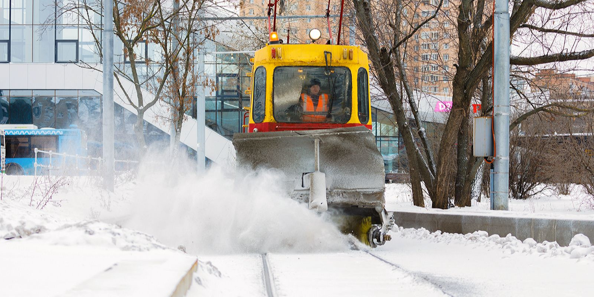 Фото: источник www.mos.ru