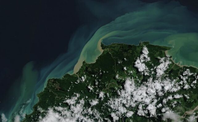 Спутниковый снимок мыса Ист-Кейп в Новой Зеландии после тропического циклона Габриэль. (Торал и др., Commun. Earth Environ. , 2026)