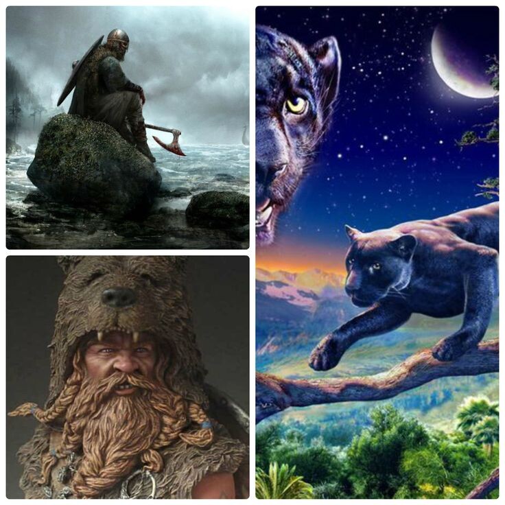 Символ 3-го лунного дня - гепард