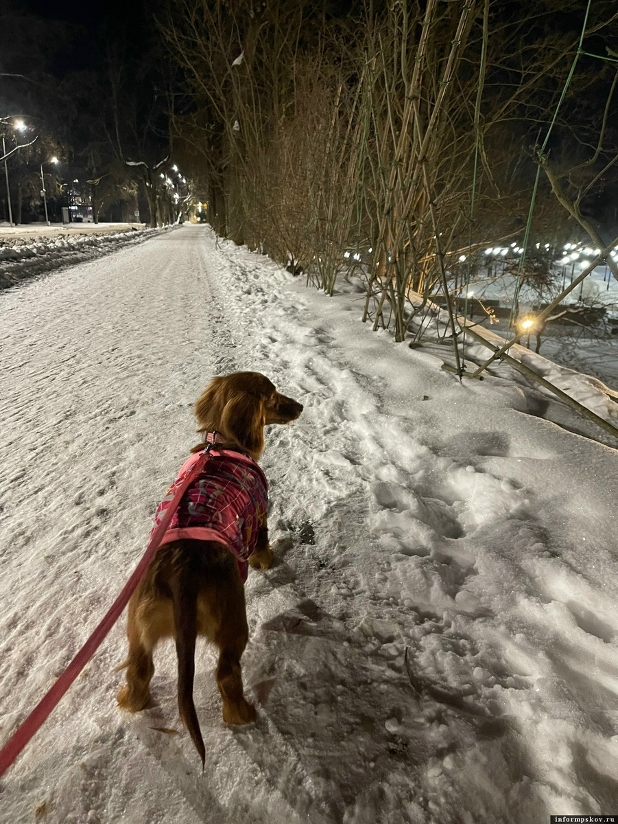 Фото со страницы Юлии Ивановой в соцсети «ВКонтакте»