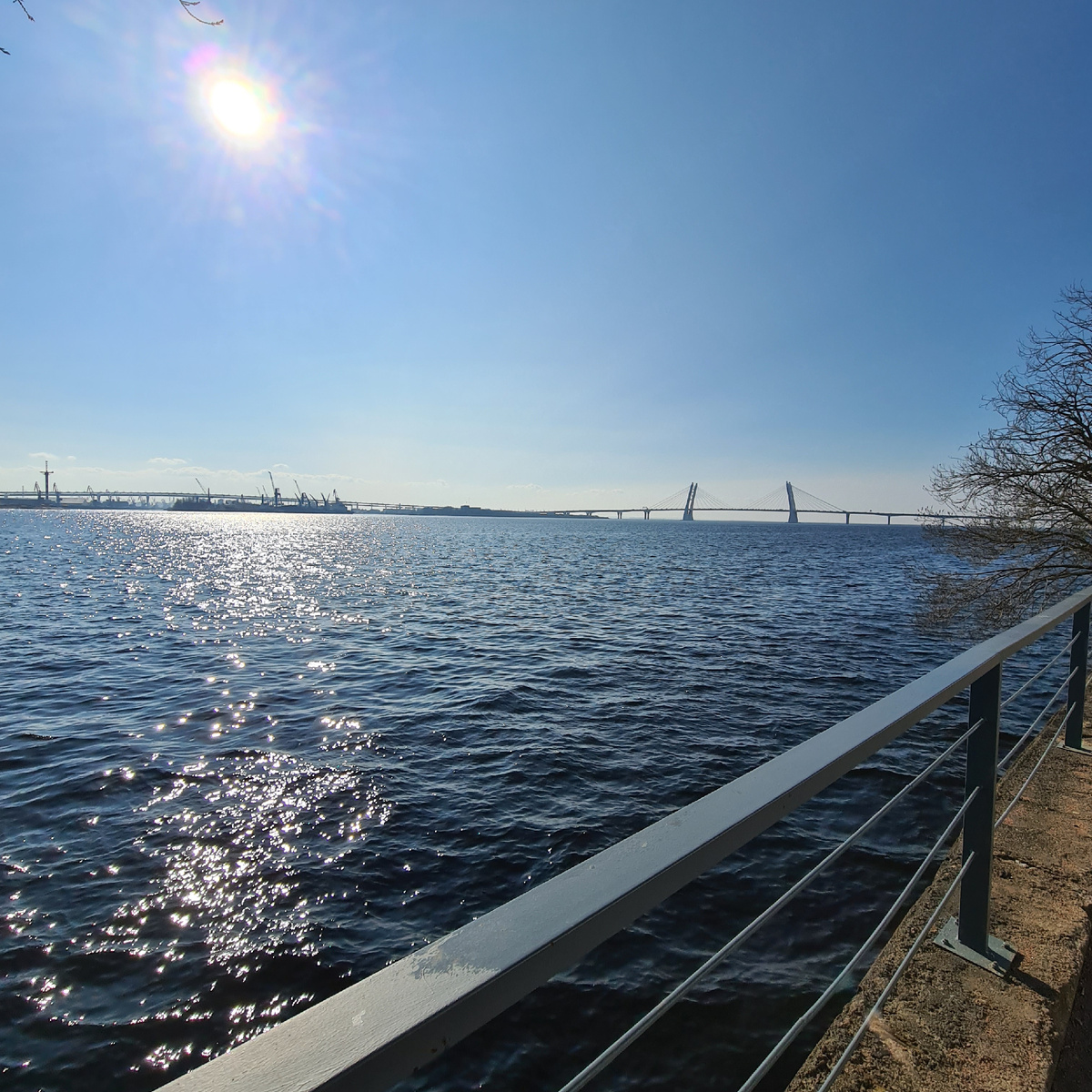 Вид со стороны "Севкабель Порт" в Санкт-Петербурге