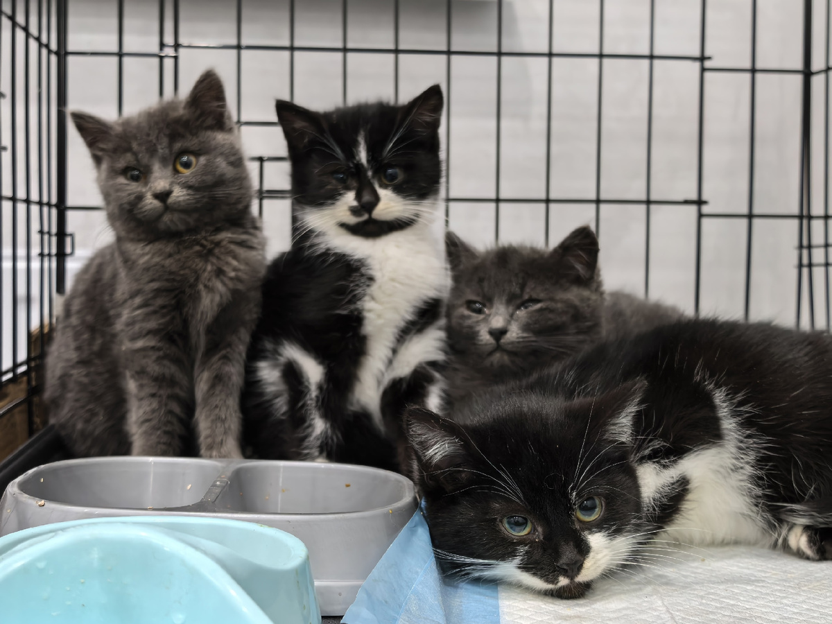 Во взгляде - испуг и недоверие. Фото из архива автора