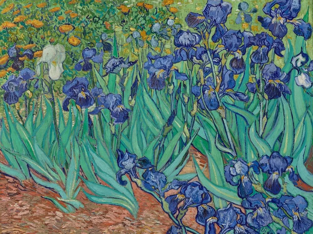 Винсент ван Гог, Ирисы, 1889 год
Музей Дж. Пола Гетти, Лос-Анджелес.