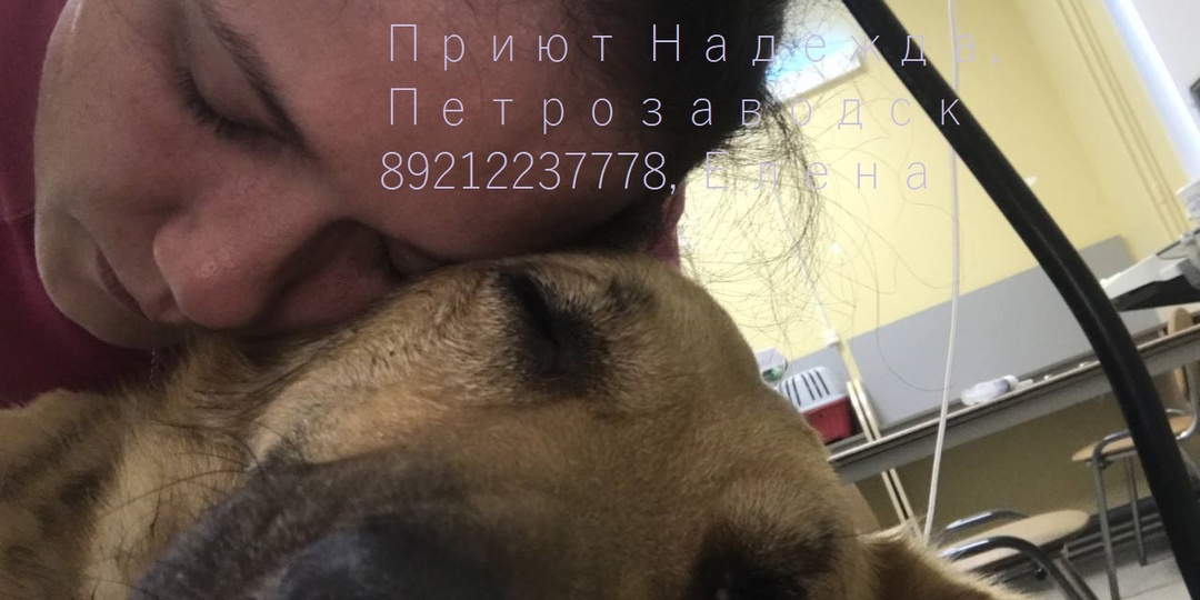 Помогите кто может, ребят🙏🙏🙏