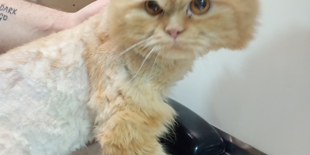 Помогите погасить долг за лечение!