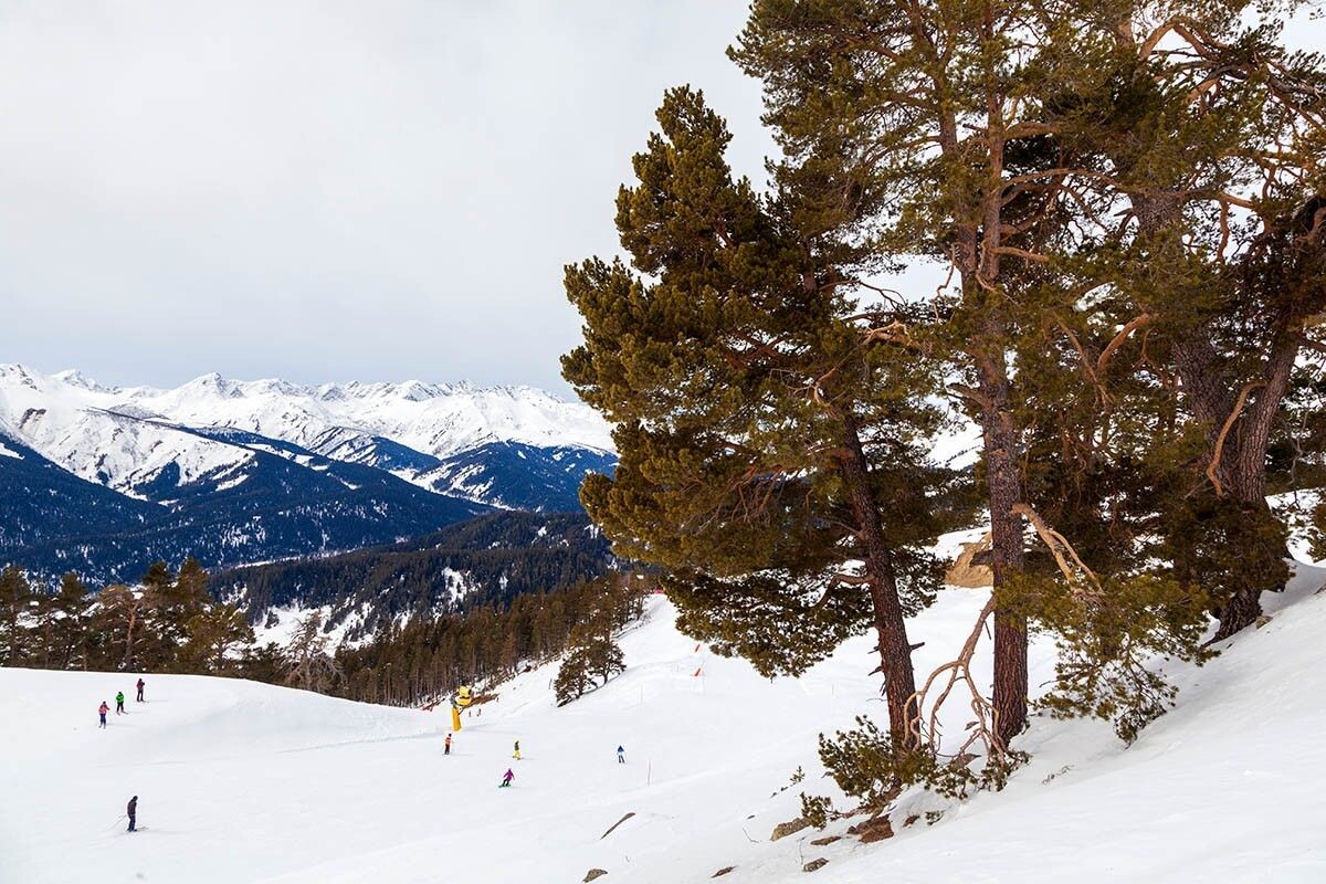 Горнолыжный спуск на курорте «Архыз». Источник: evgenii mitroshin / Shutterstock / FOTODOM📷
