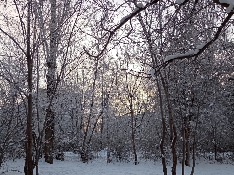     Фото: Вячеслав Коротин