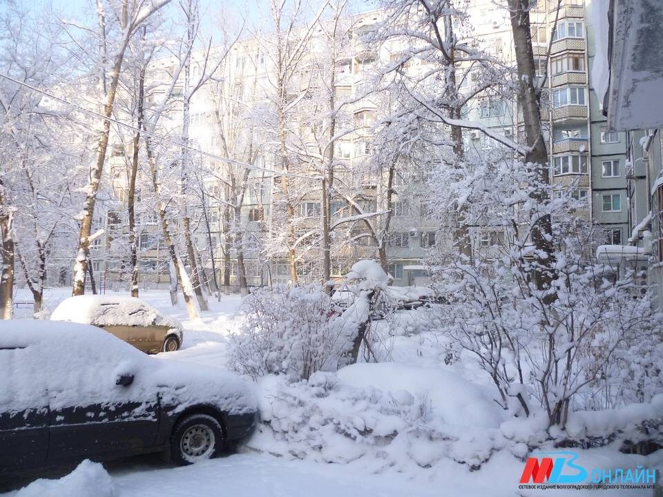    Фото: Наталия Еремеева / МТВ.ОНЛАЙН