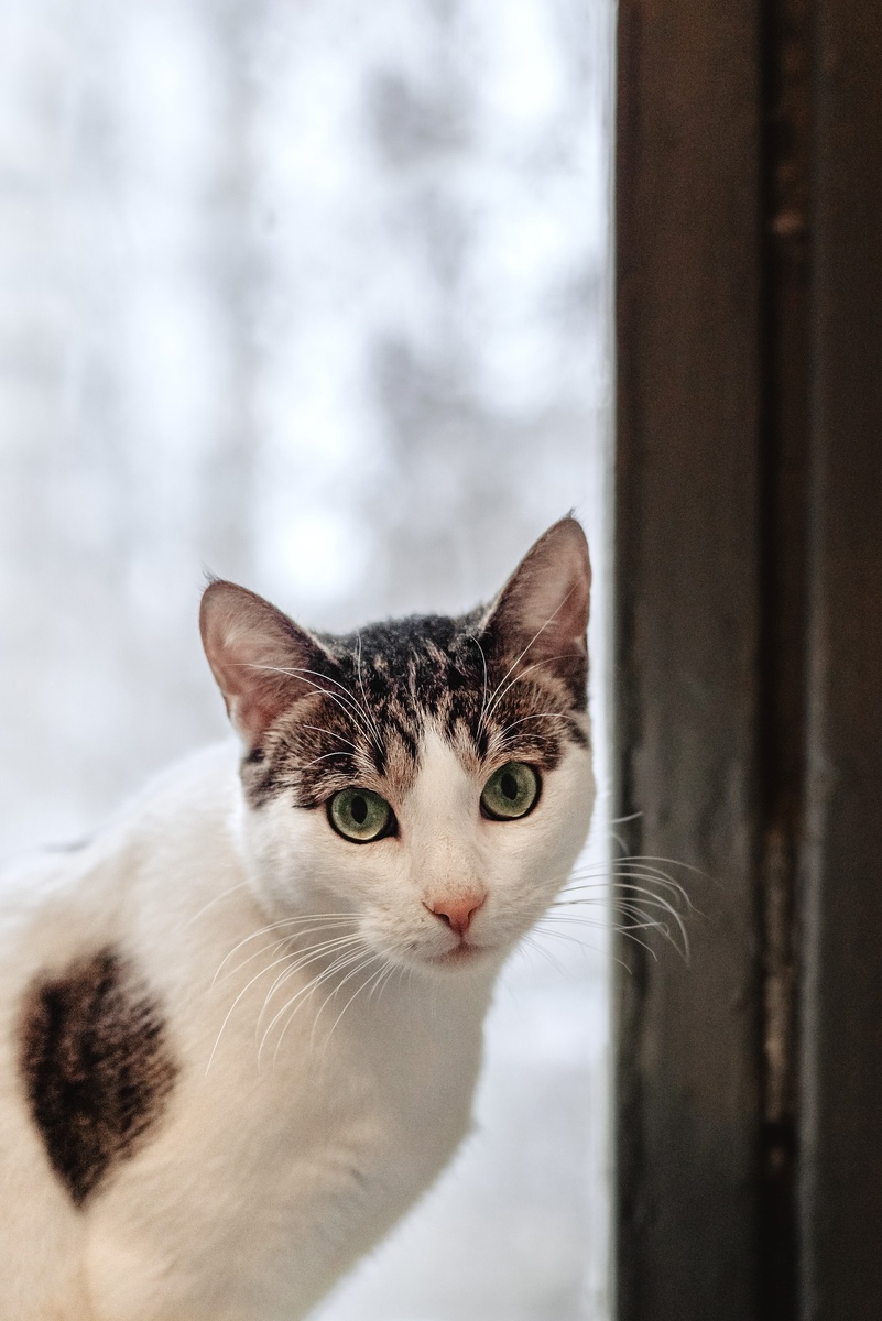 Да, всё так и былор, куратор правду говорит