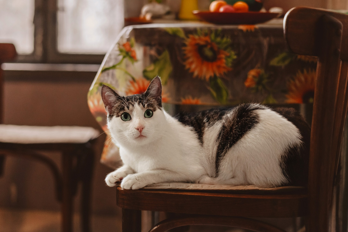 Про меня, да, про меня