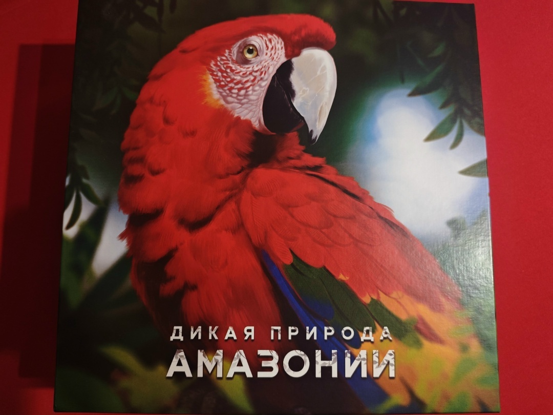 настольная игра дикая природа амазонии hobby world hobby games обзор правила мнение 2026