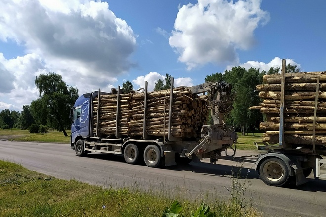    Victor Lisitsyn, Виктор Лисицын/Global Look Press