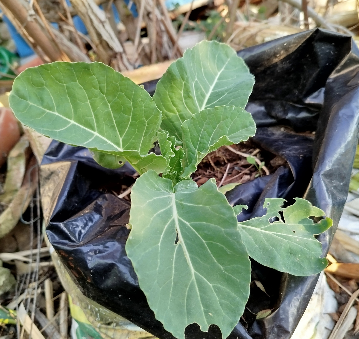 Фото автора.