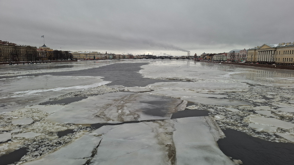 Река Большая Нева с Дворцового моста