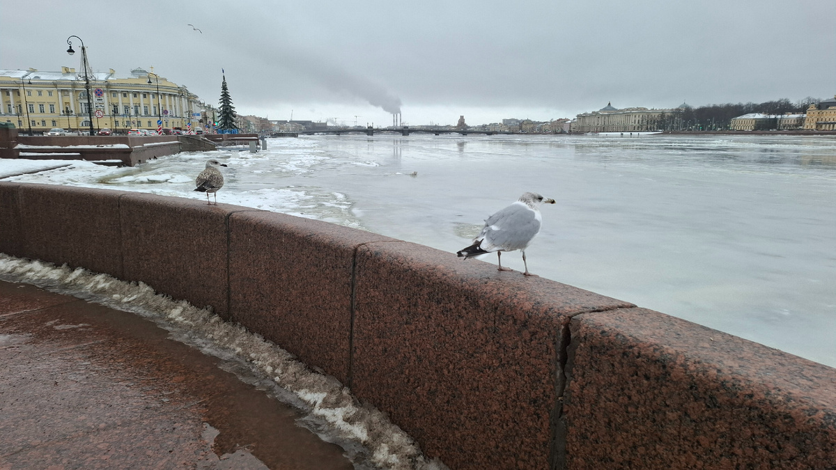 Вид на Большую Неву с Петровского спуска в сторону Сената и Синода 