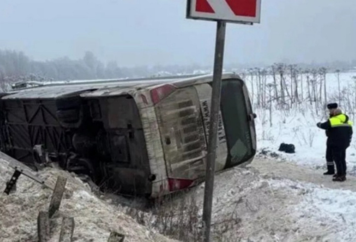 фото: Прокуратура Ленинградской области/Telegram