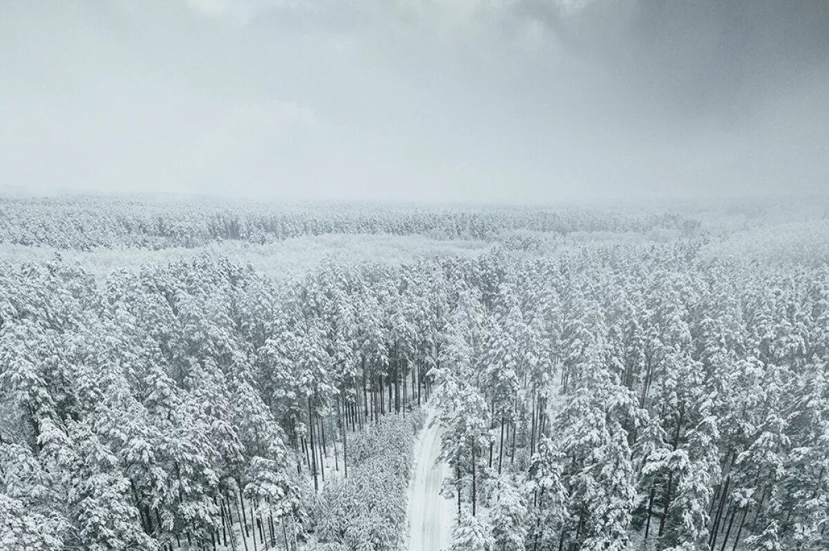    Финал зимы.