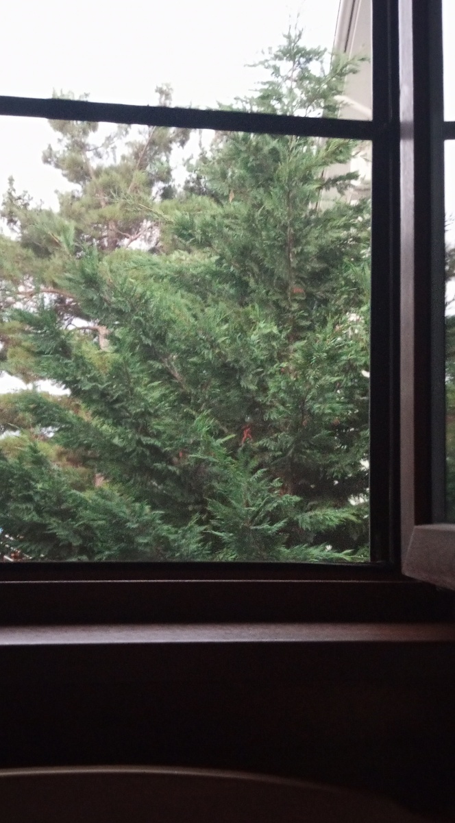 Окно в номере. 