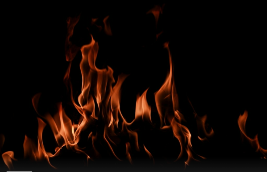    Shutterstock/FOTODOM