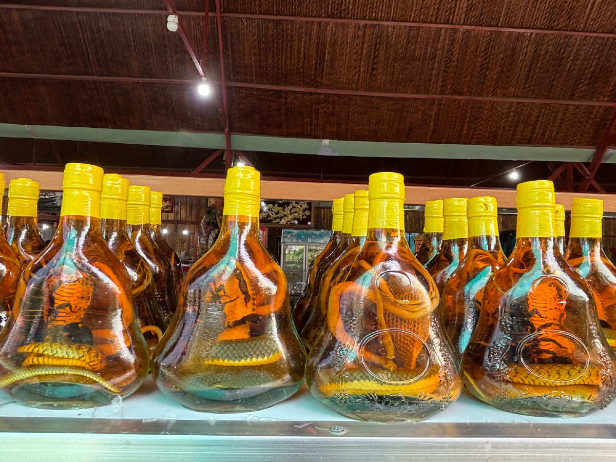 Настойка из категории народной медицины