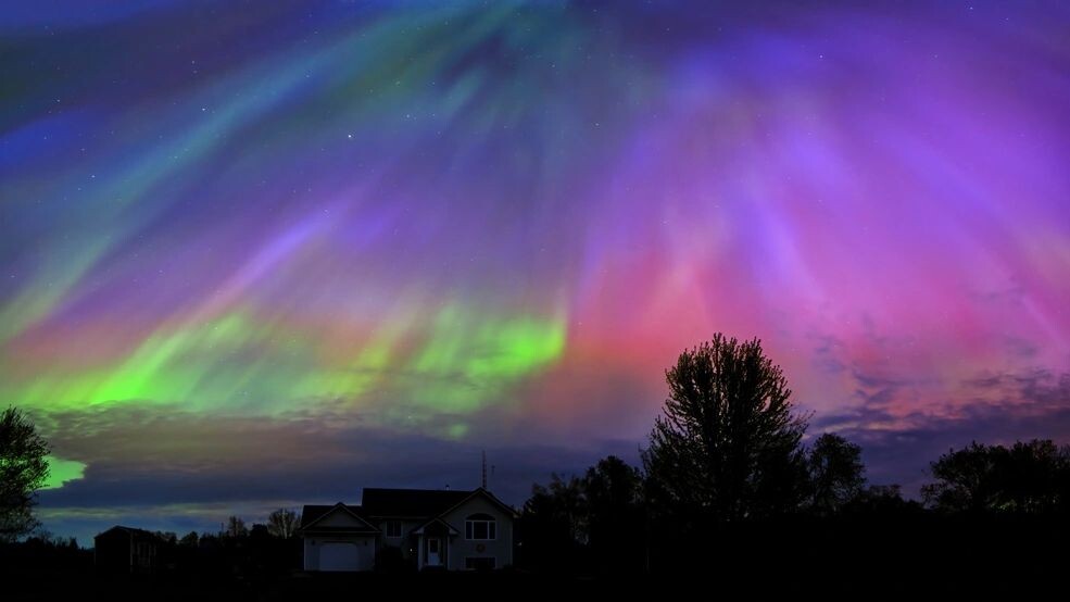    Фото: Fiona M. Donnelly/Shutterstock/Fotodom