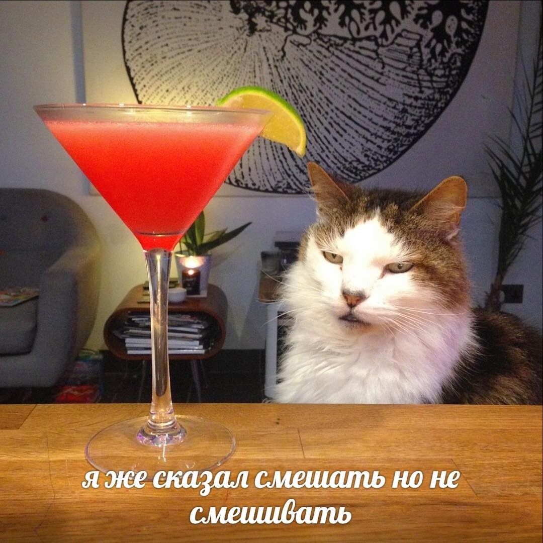 ...а это у нас привередливый холостях. В отличие от "всё понимающего" женатого