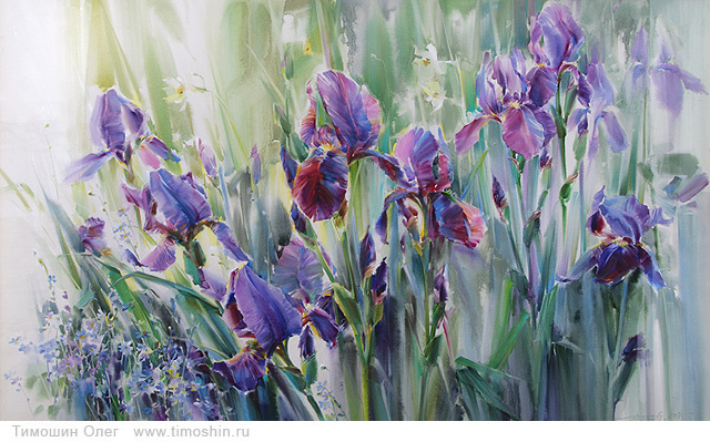 Ирисы в траве, бумага / акварель. Олег Тимошин