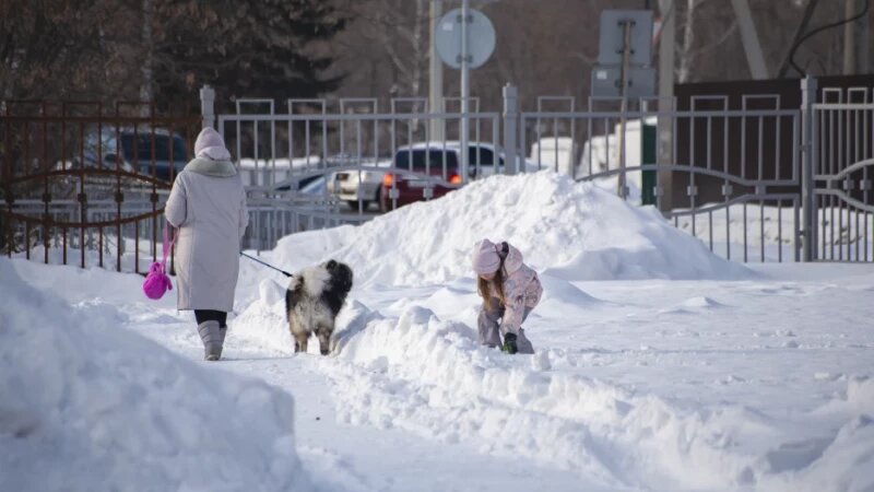     Зима в Барнауле, 2025 год. Дарья Беркетова