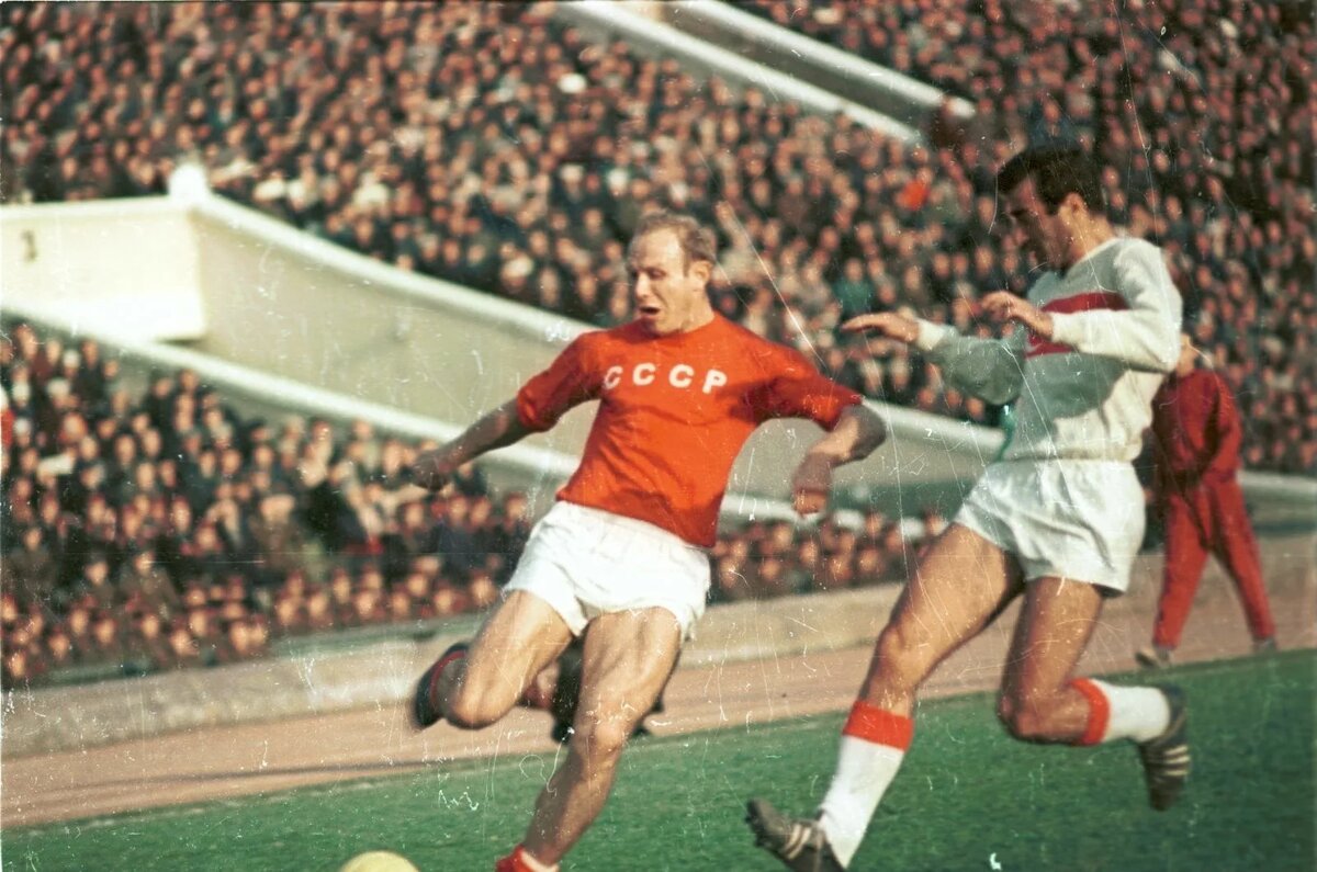 Изображение взято из открытого источника