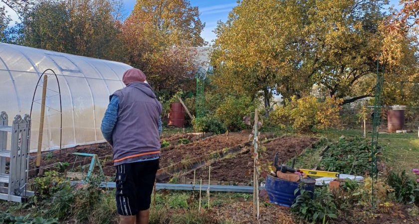    Фото progorod43.ru