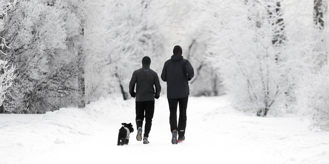 Доброе утро