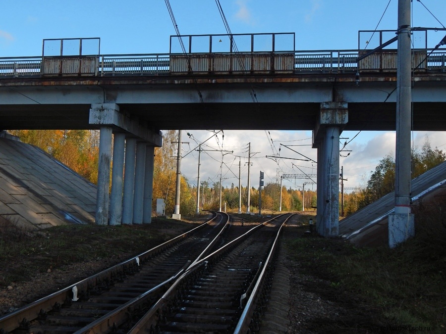 Пост примыкания соединительной ветви от главного Выборгского хода к «Большой Приморке», расположенный недалеко от остановочного пункта Лазаревка. Вид со стороны Приморска. Левая ветвь отклоняется к Выборгу, правая - в сторону станции Верхне-Черкасово. Над железной дорогой построен путепровод Ленинградского шоссе. Фото: Шефер В.Д., 10.10.2020 г.