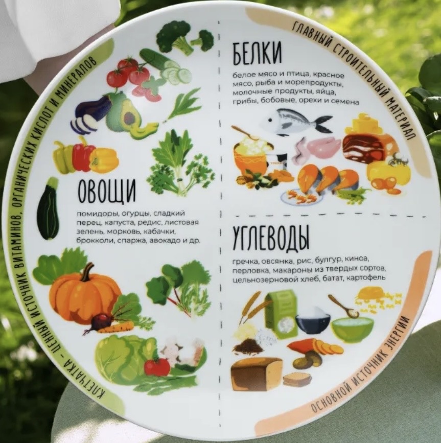 Белорусскаякерамика Тарелка для похудения гарвардская для правильного питания