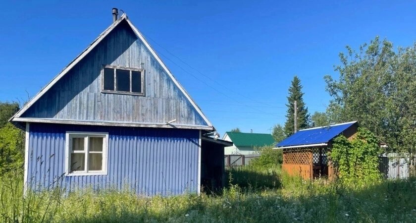    Автор фото - Анна Ефимова