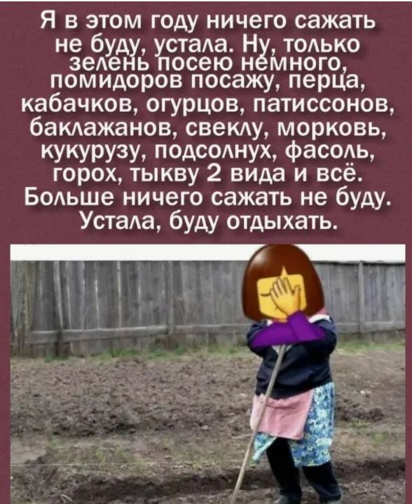 Юмор от коллеги с фриланса с Алтайского края, кто то тут узнал себя? 