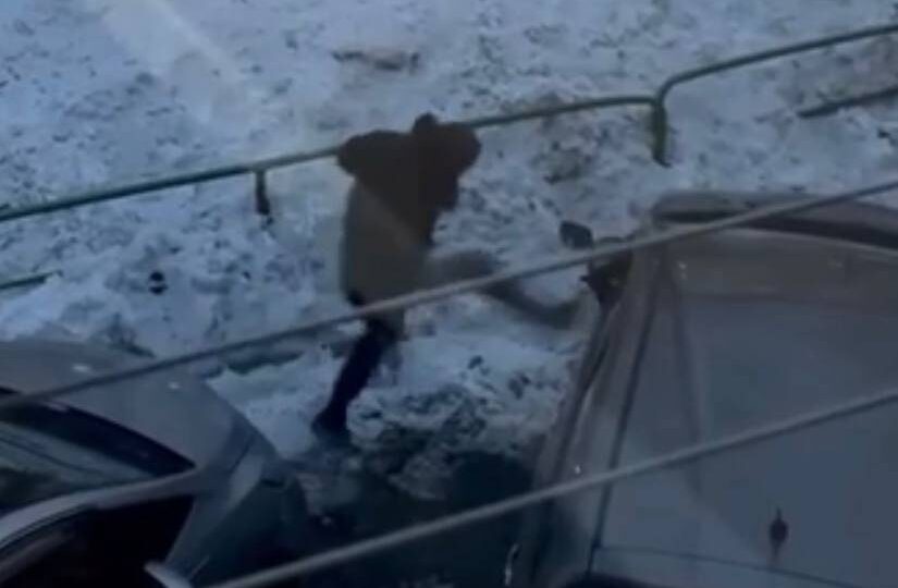 Возбуждено уголовное дело по факту инцидента во дворе жилого дома в Уссурийске