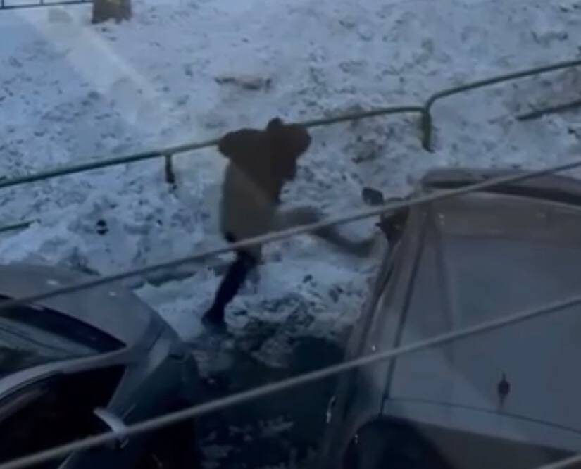    Источник фото: Марк Чернослив