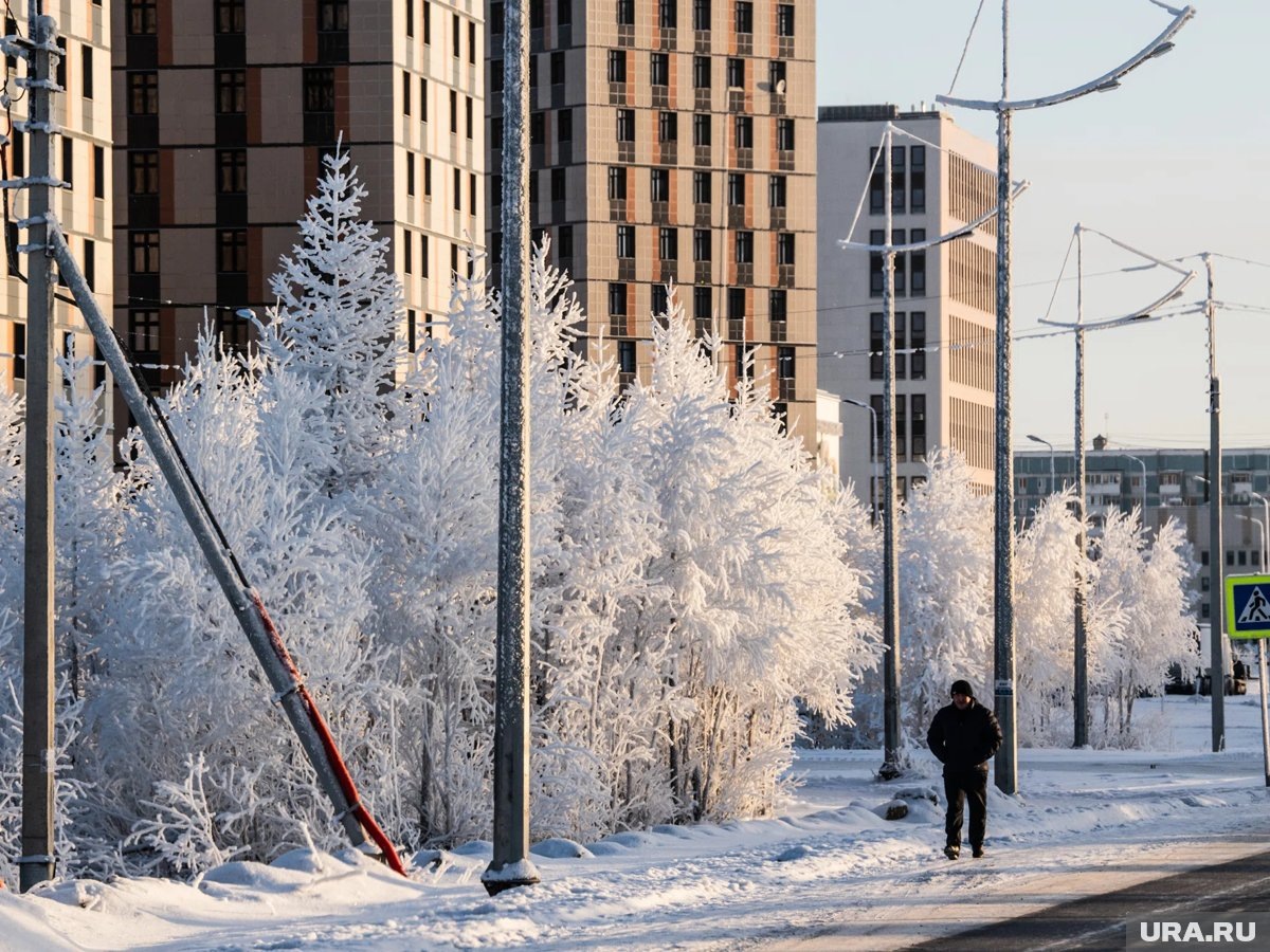     Дома из-за морозов могут остаться ученики начальных классов