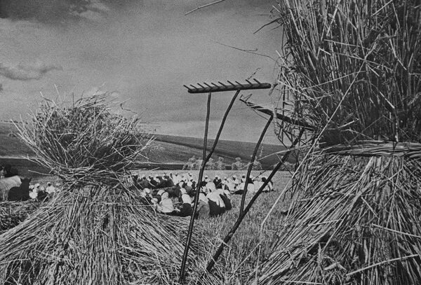 Взято из открытых источников интернета Яндекс.