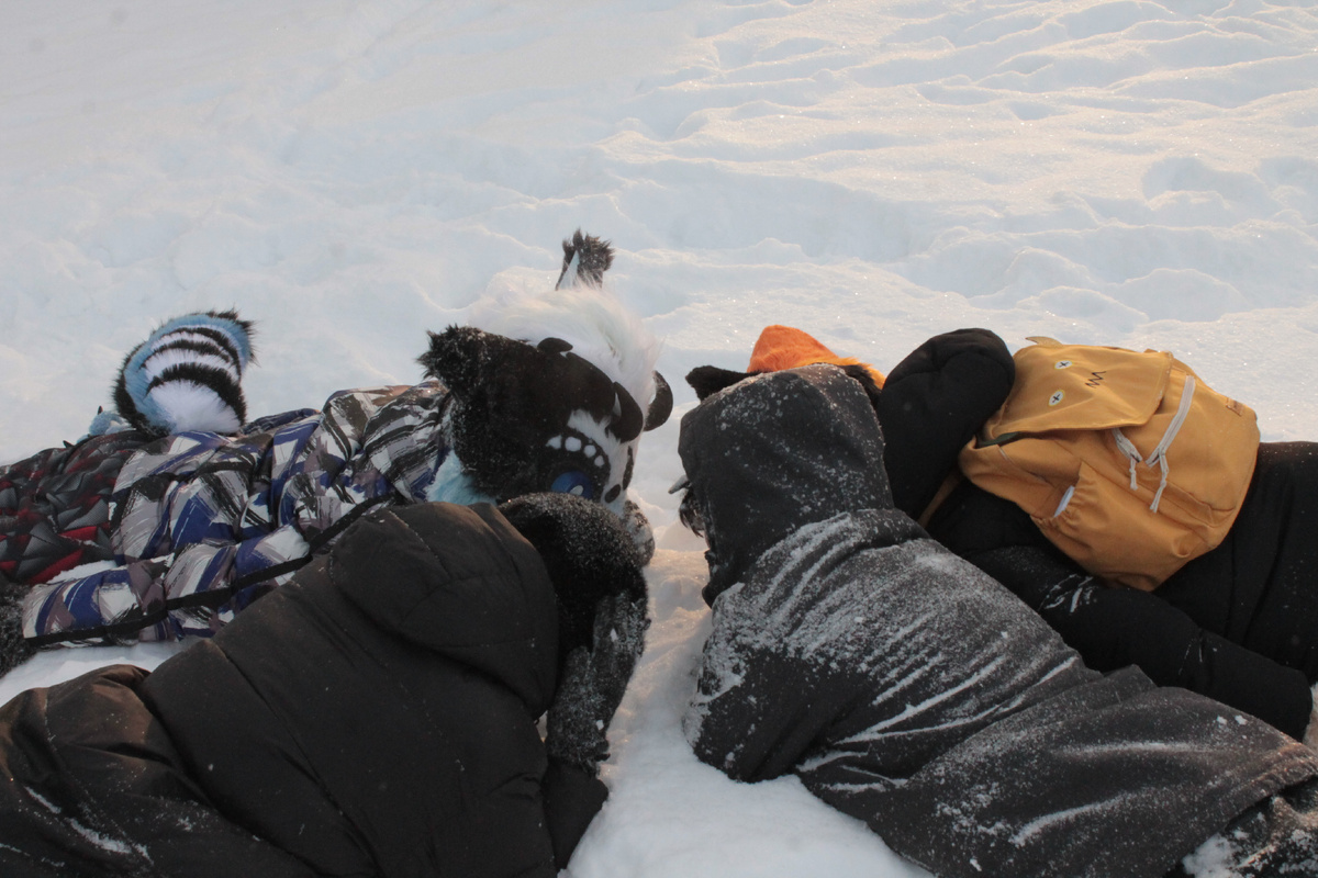 Тверь 17 янвая 2026 год. Фурри прогулка