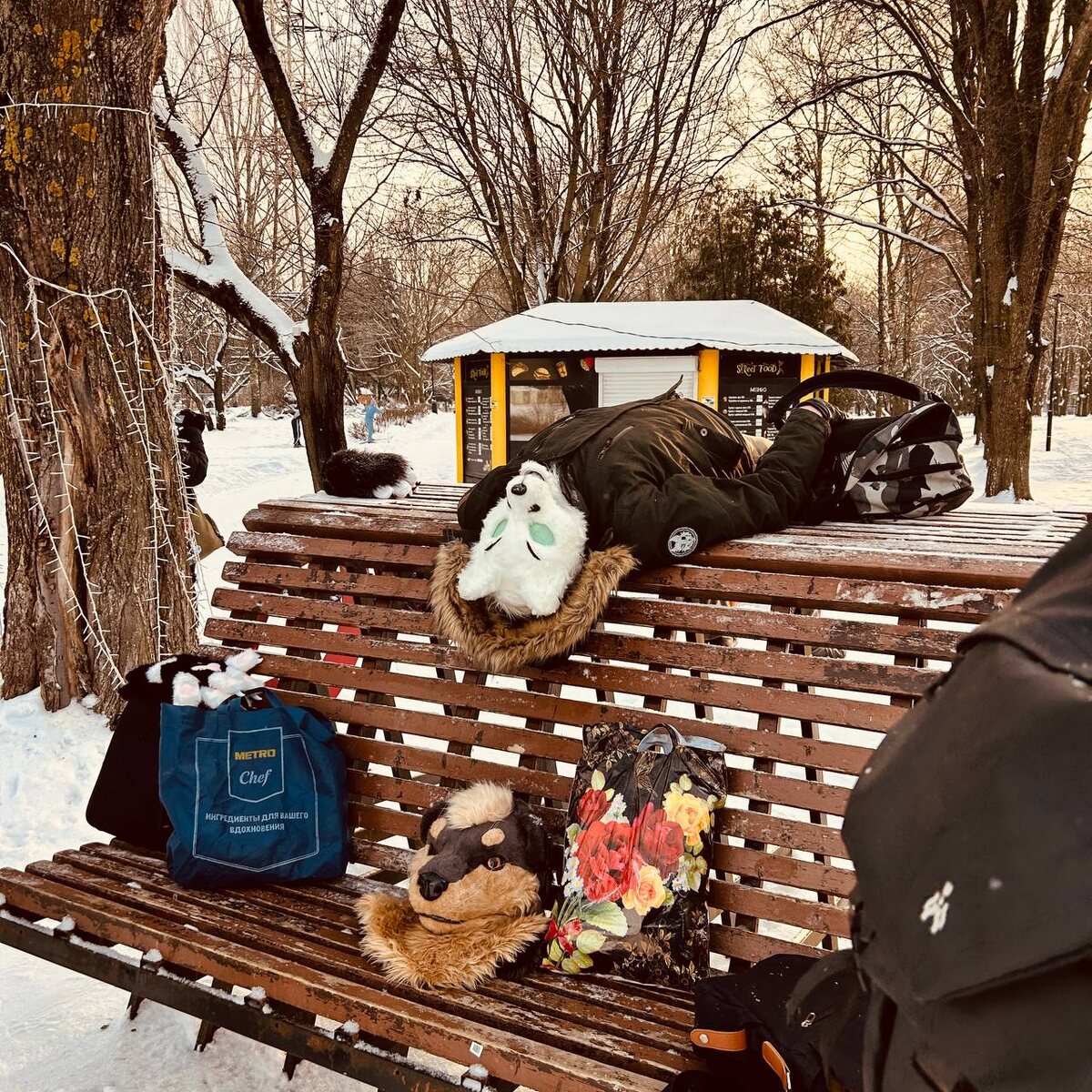 Тверь 17 янвая 2026 год. Фурри прогулка