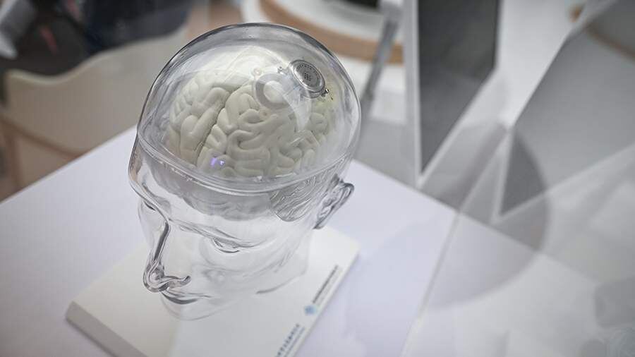    Фото: Global Look Press/Chen Zhonghao