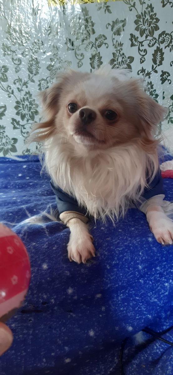 Играем в мячик.