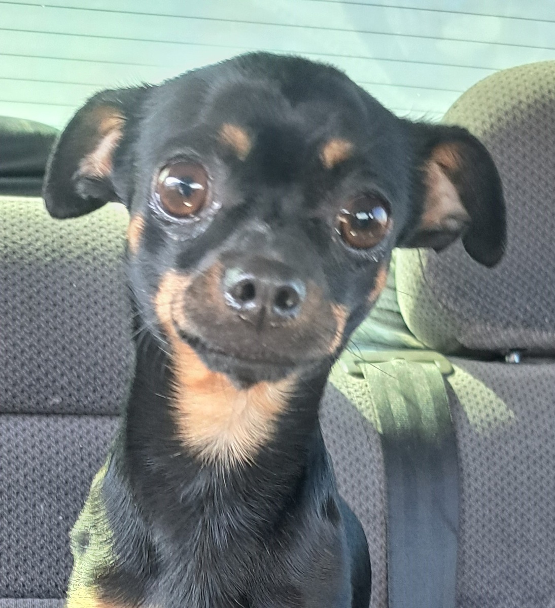 фото из личного архива