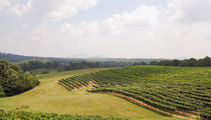 г. Далонега, Джорджия