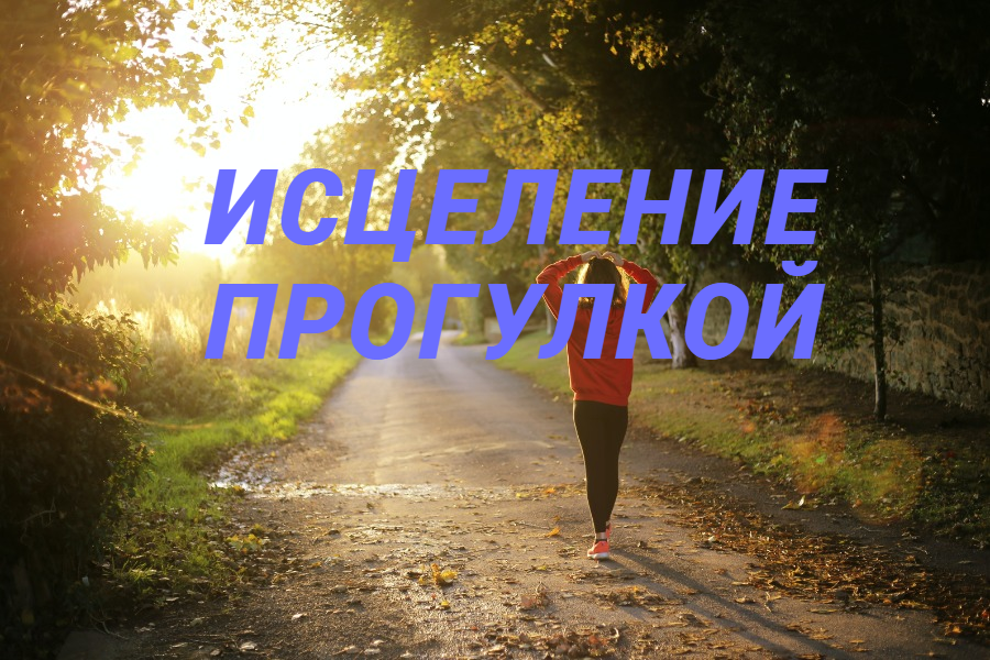 Фото из сети
