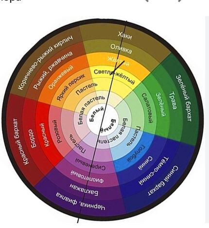 Цветовой круг Иттена. Фото: https://artflora.ru/blog/cvetovoy-krug-ittena-v-rabote-florista/