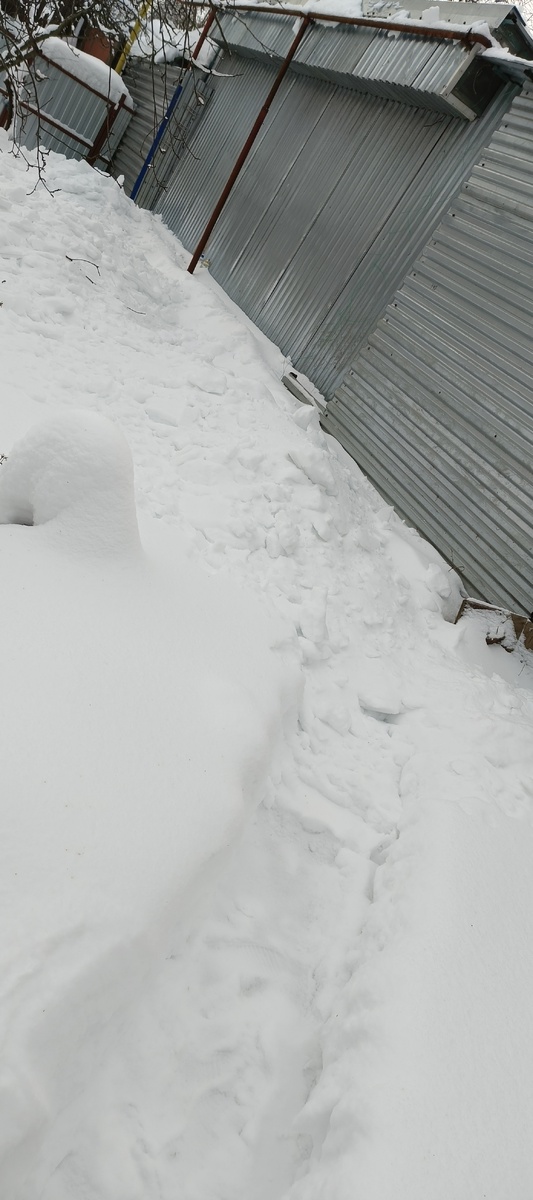 Фото специально под углом, чтобы было видно, как сильно он засыпал расчищенную дорожку 