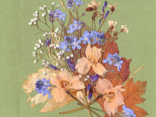 Источник изображения: Яндекс картинка